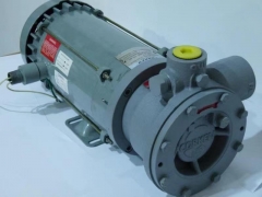 LPG corken type pump