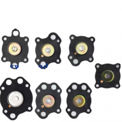 Solenoid valve gasket